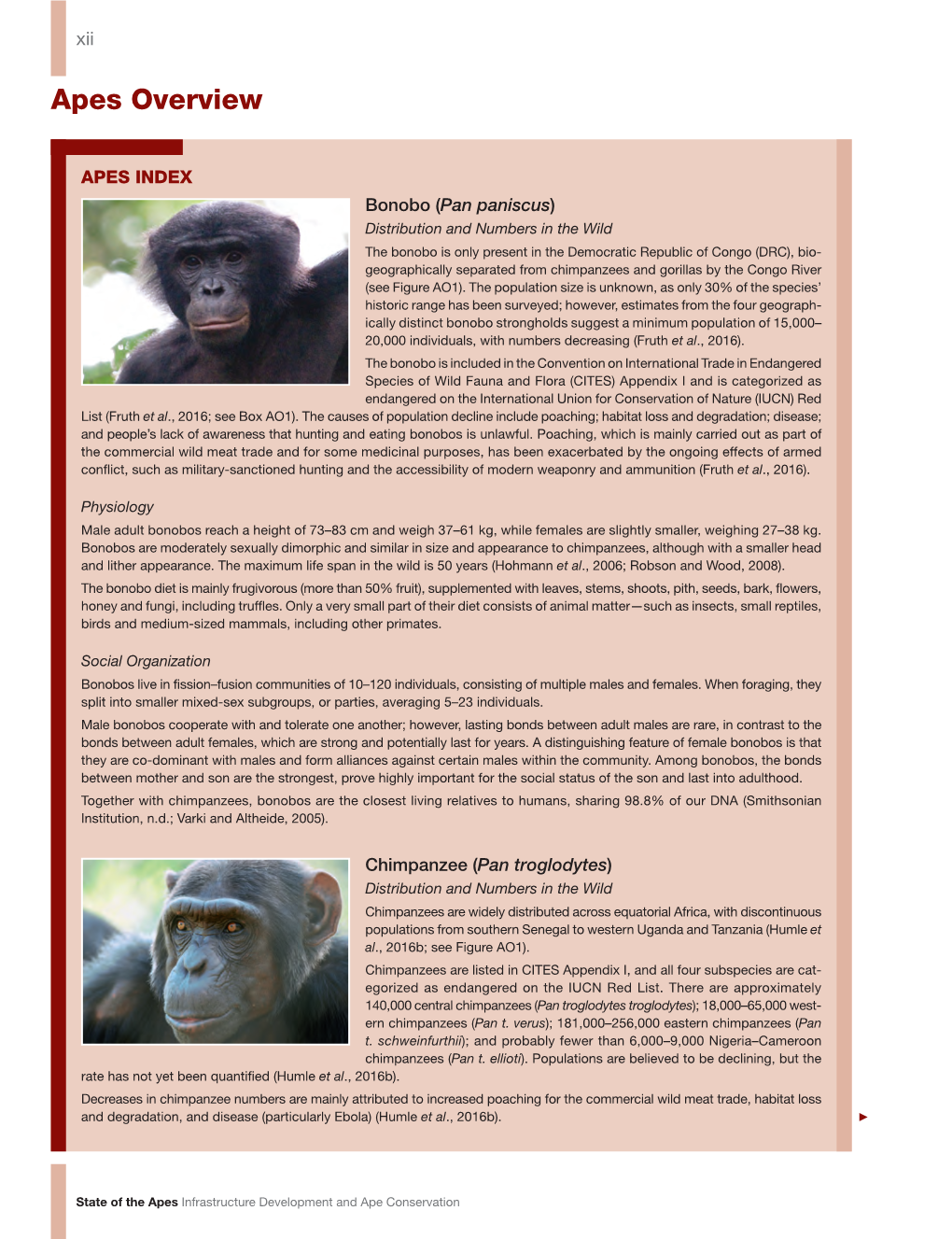 Apes Overview