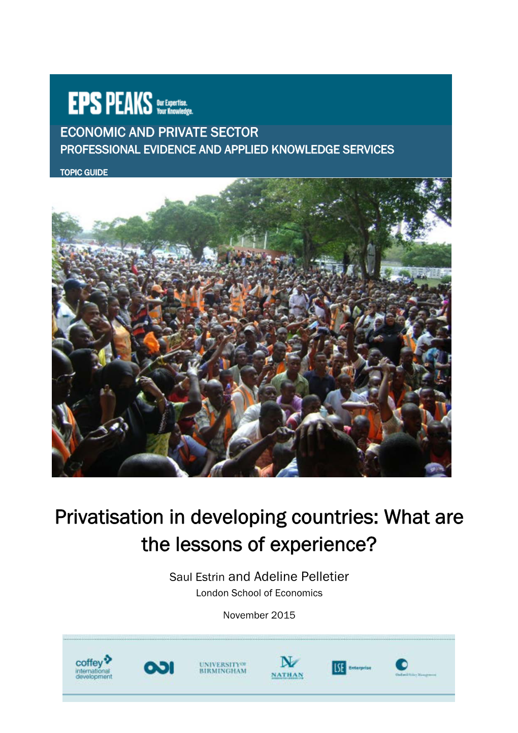 Privatisation in Developing Countries: What Are the Lessons of Experience?