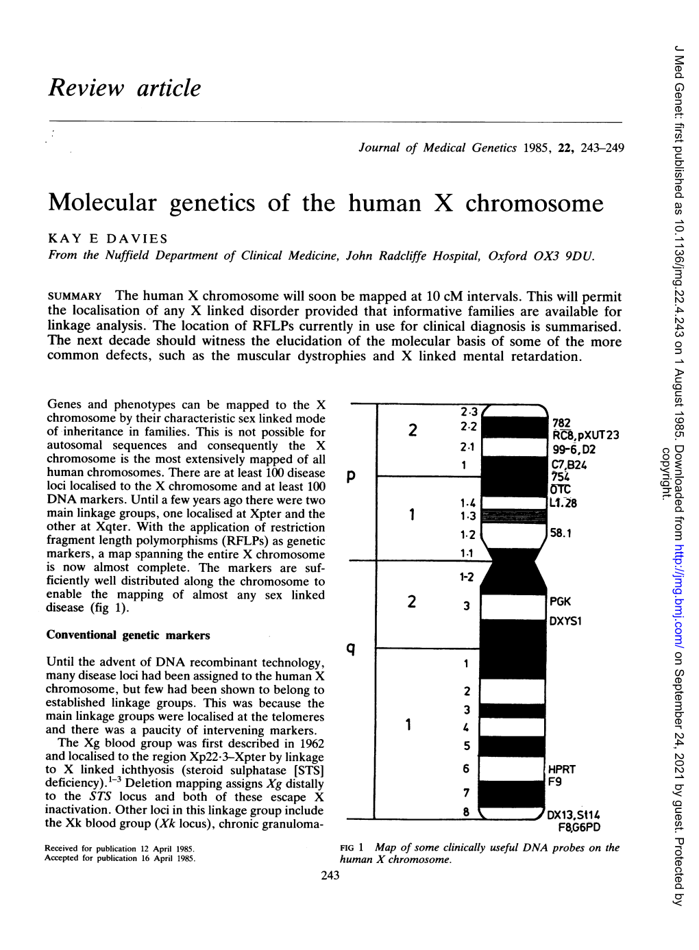 Molecular Genetics of the Human X Chromosome KAY E DAVIES from the Nuffield Department of Clinical Medicine, John Radcliffe Hospital, Oxford OX3 9DU