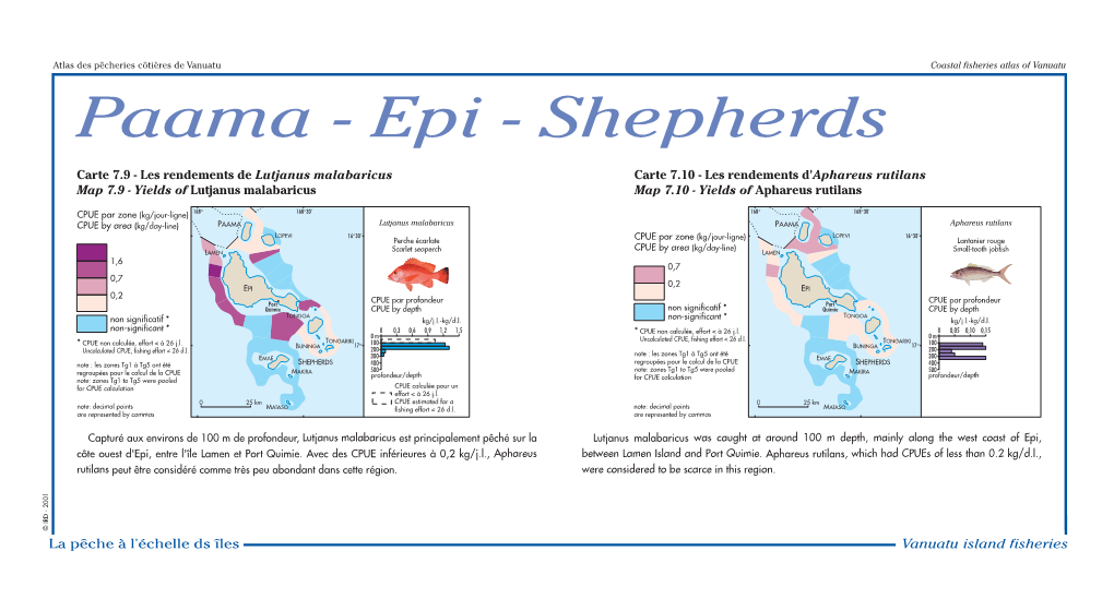 Paama - Epi - Shepherds