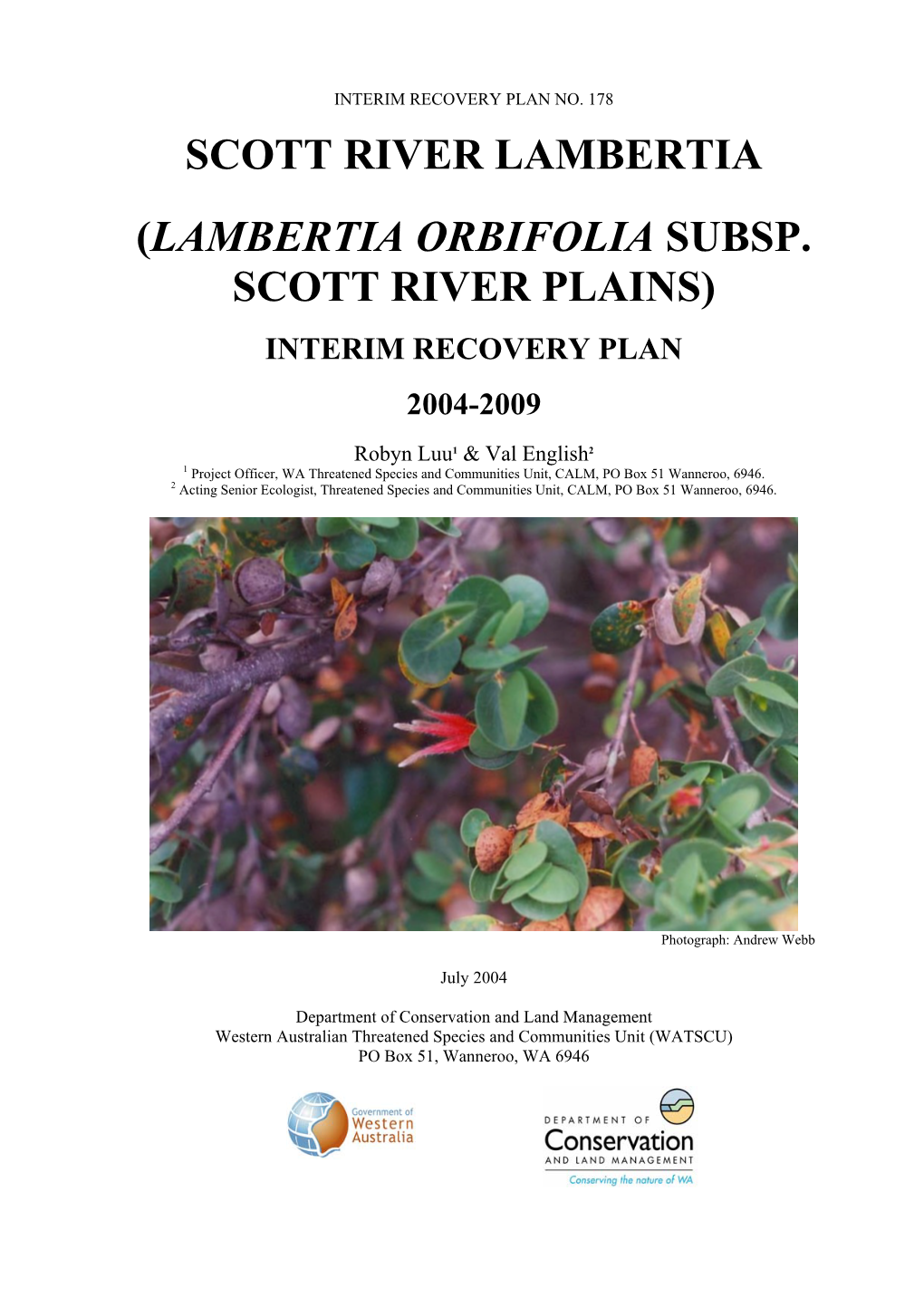 Lambertia Orbifolia Subsp