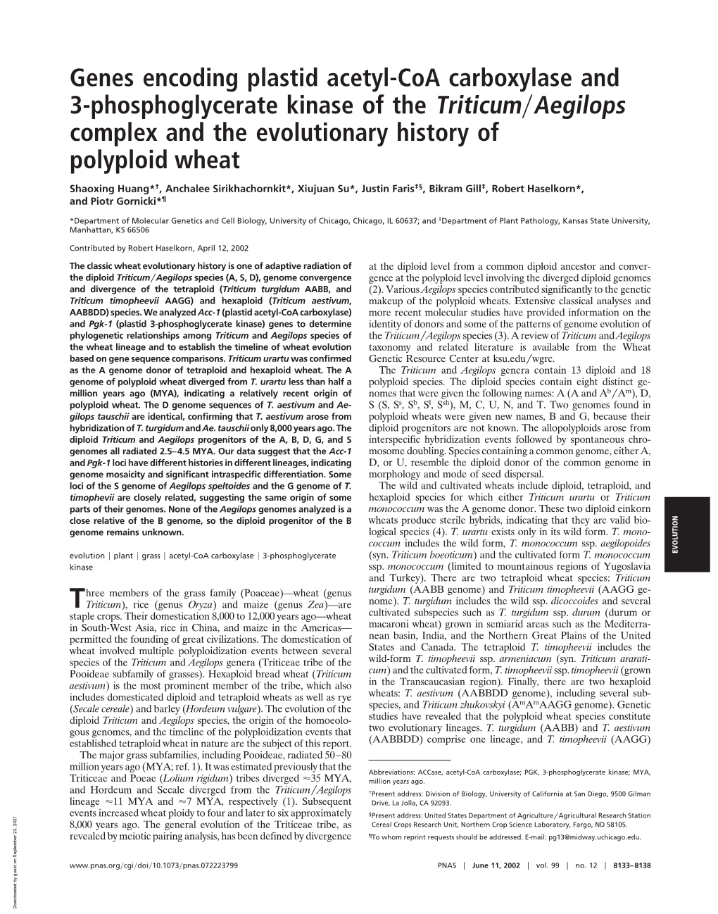 Genes Encoding Plastid Acetyl-Coa Carboxylase and 3-Phosphoglycerate Kinase of the Triticum͞aegilops Complex and the Evolutionary History of Polyploid Wheat