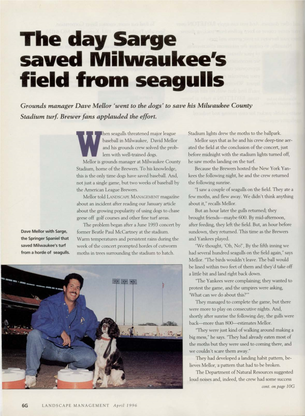 The Day Sarge Saved Milwaukee's Field from Seagulls