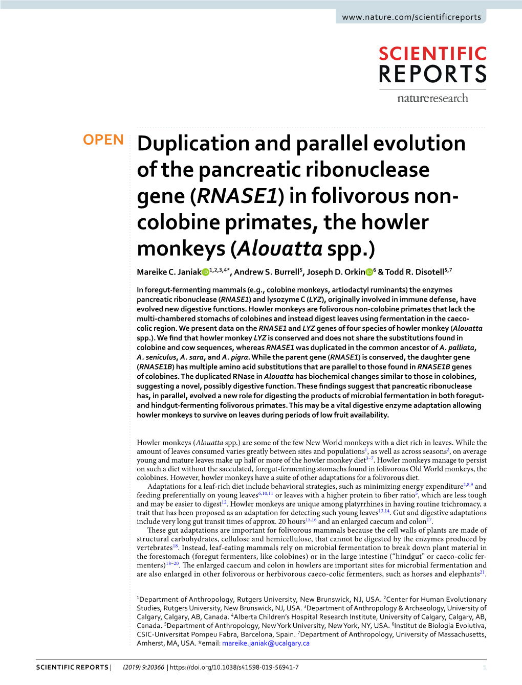 (RNASE1) in Folivorous Non- Colobine Primates, the Howler Monkeys (Alouatta Spp.) Mareike C