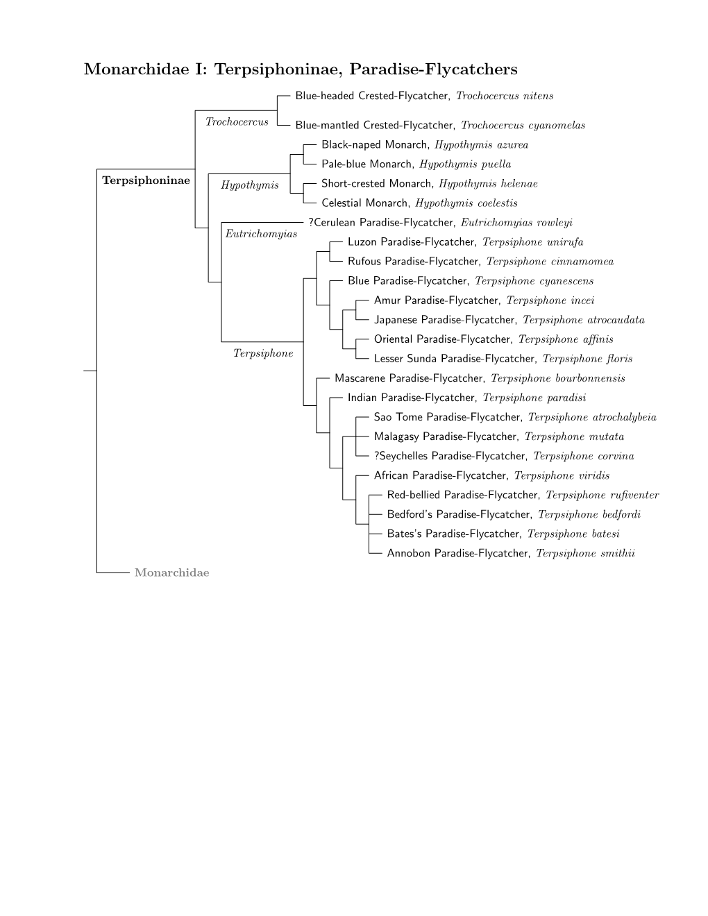 Monarchidae Species Tree