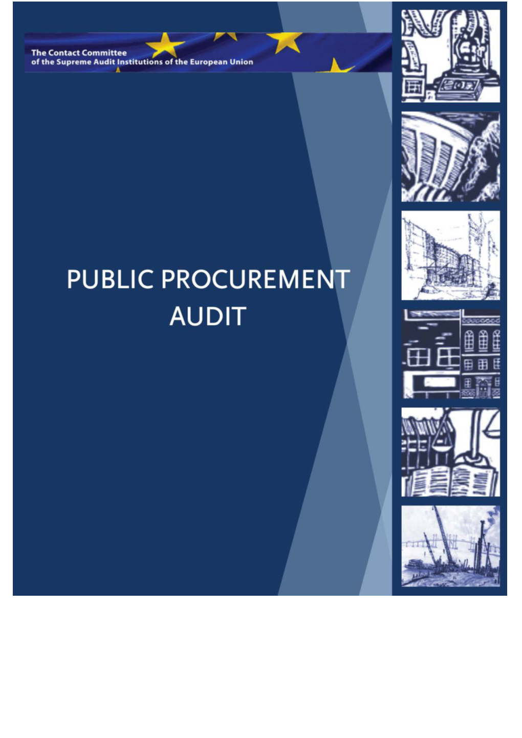 Public Procurement Audit