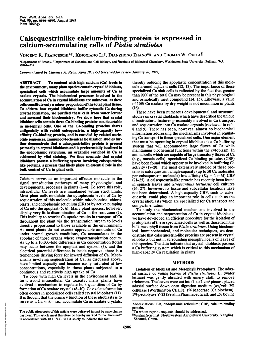 Calsequestrinlike Calcium-Binding Protein Is Expressed in Calcium-Accumulating Cells of Pistia Stratiotes VINCENT R