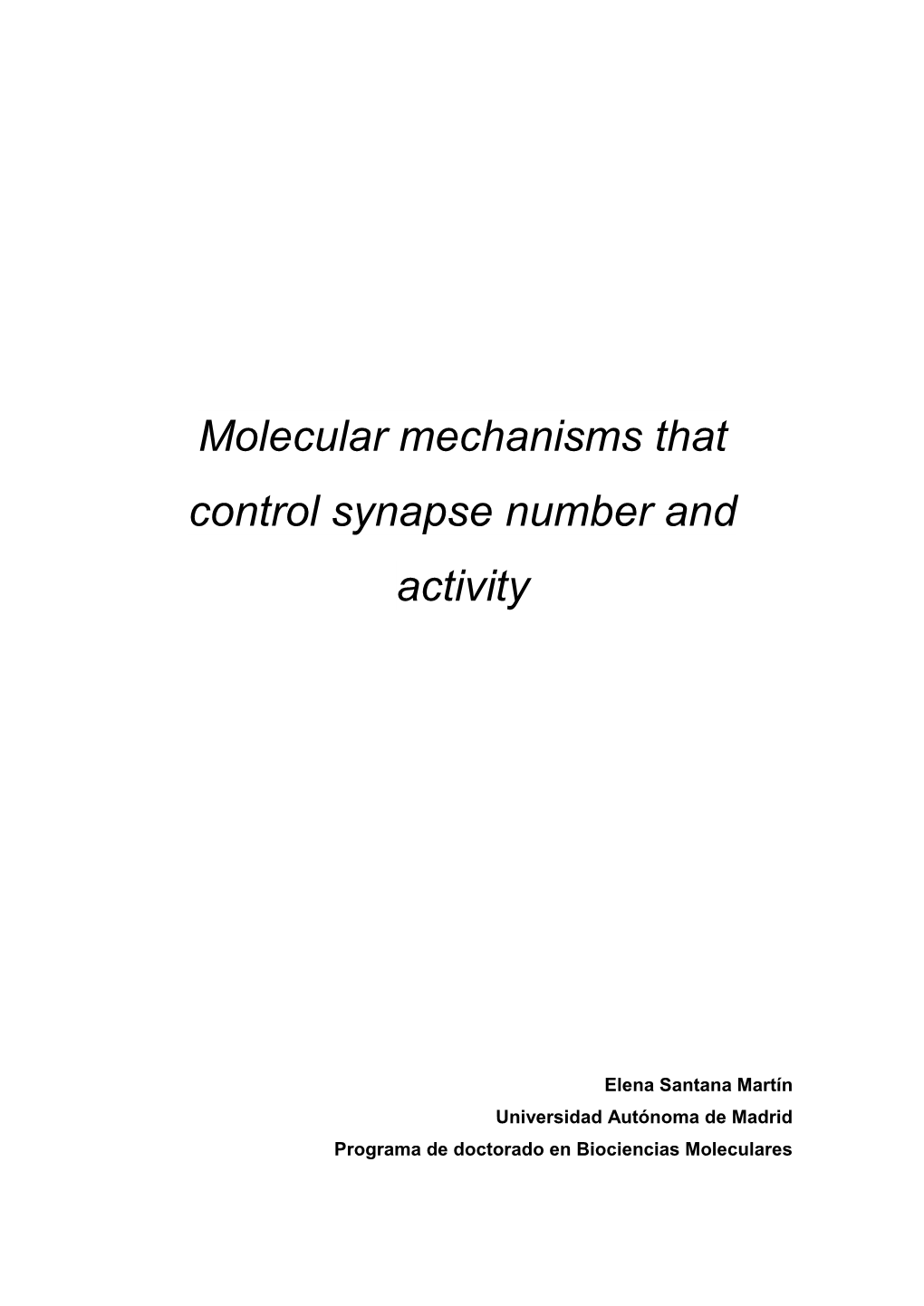 Molecular Mechanisms That Control Synapse Number and Activity