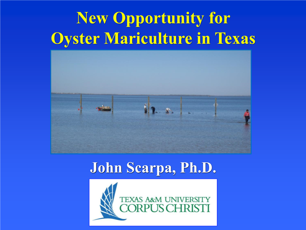 New Opportunity for Oyster Mariculture in Texas