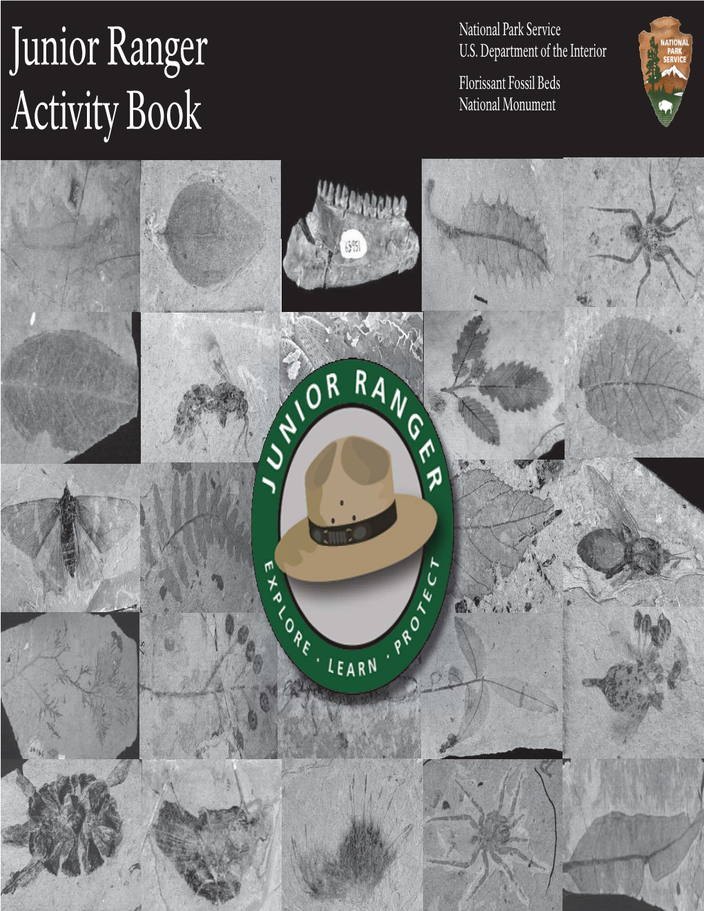 Junior Ranger Activity Book, Florissant Fossil Beds National Monument