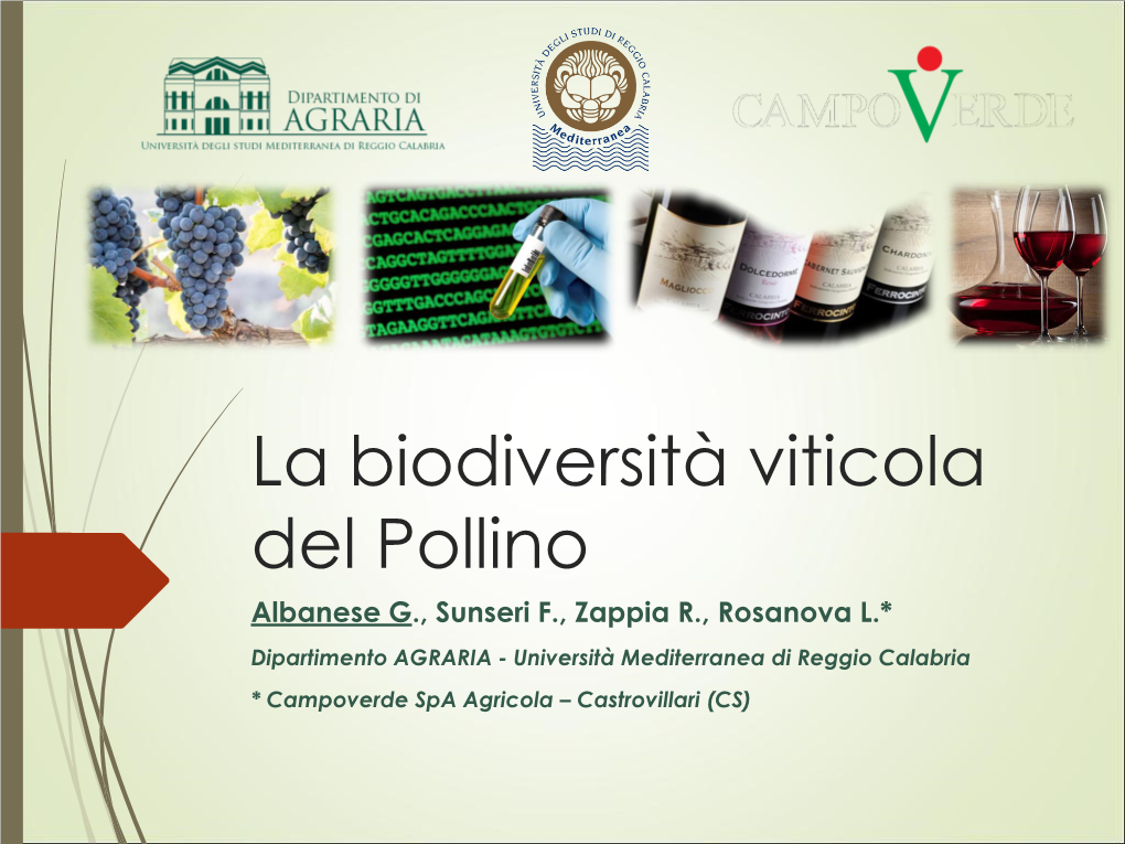 La Biodiversità Viticola Del Pollino