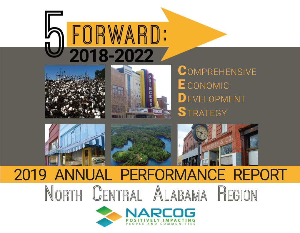 North Central Alabama Region 2019 ANNUAL PERFORMANCE REPORT