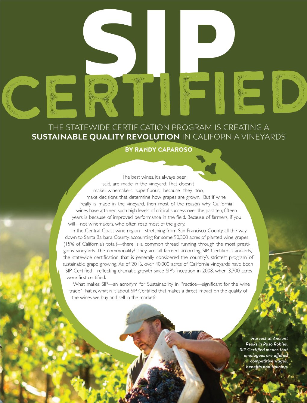 The Statewide Certification Program Is Creating a Sustainable Quality Revolution in California Vineyards by Randy Caparoso