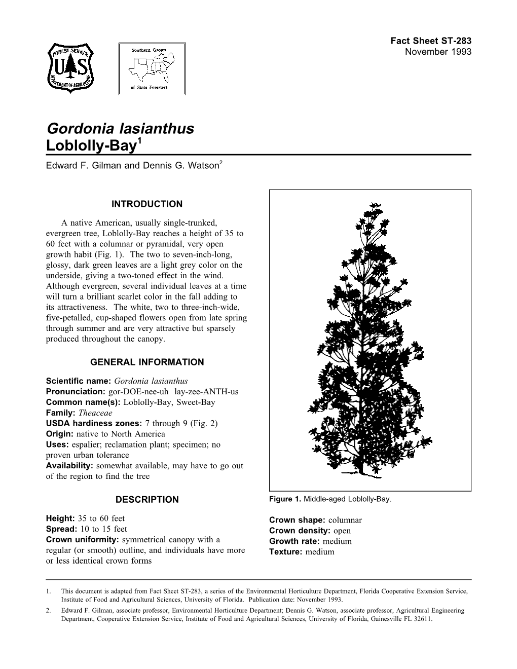 Gordonia Lasianthus Loblolly-Bay1 Edward F