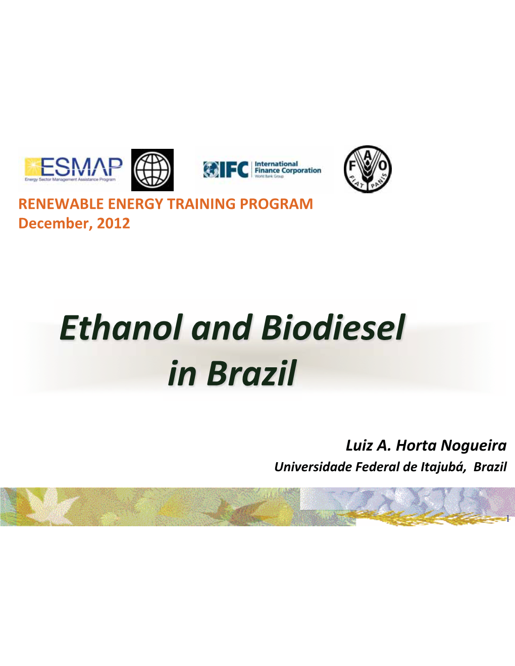 Ethanol and Biodiesel in Brazil