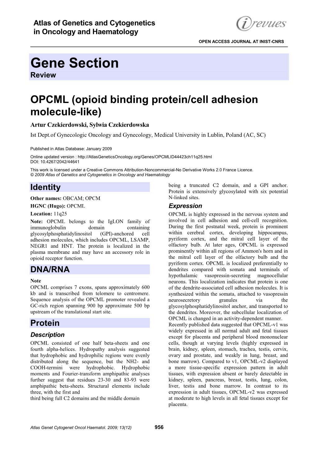 OPCML (Opioid Binding Protein/Cell Adhesion