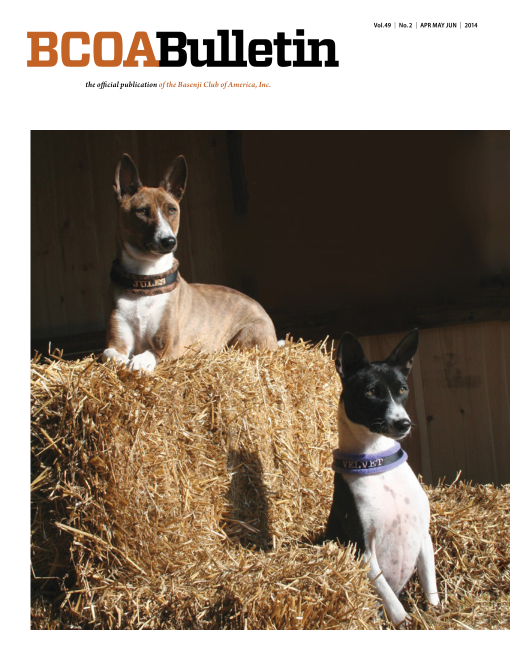 The Official Publication of the Basenji Club of America, Inc. JADA Kiroja Loving Every Minute RN, MX, AXJ, TCP, SRGC, SORC3, PD