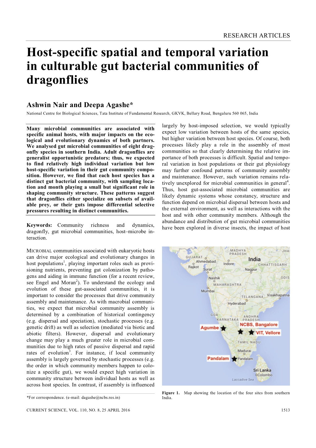 Host-Specific Spatial and Temporal Variation in Culturable Gut Bacterial Communities of Dragonflies