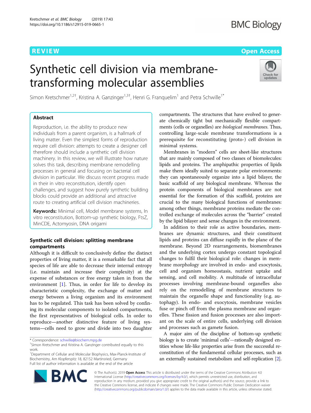 Synthetic Cell Division Via Membrane- Transforming Molecular Assemblies Simon Kretschmer1,2†, Kristina A