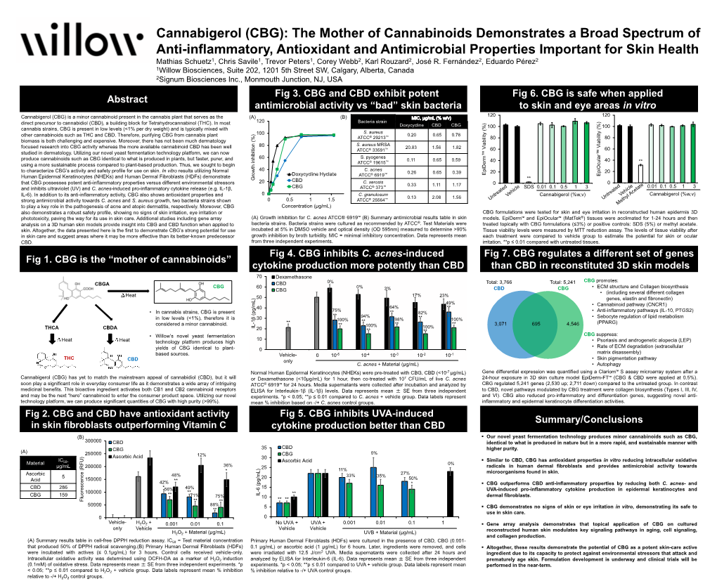 Cannabigerol (CBG): the Mother of Cannabinoids Demonstrates A