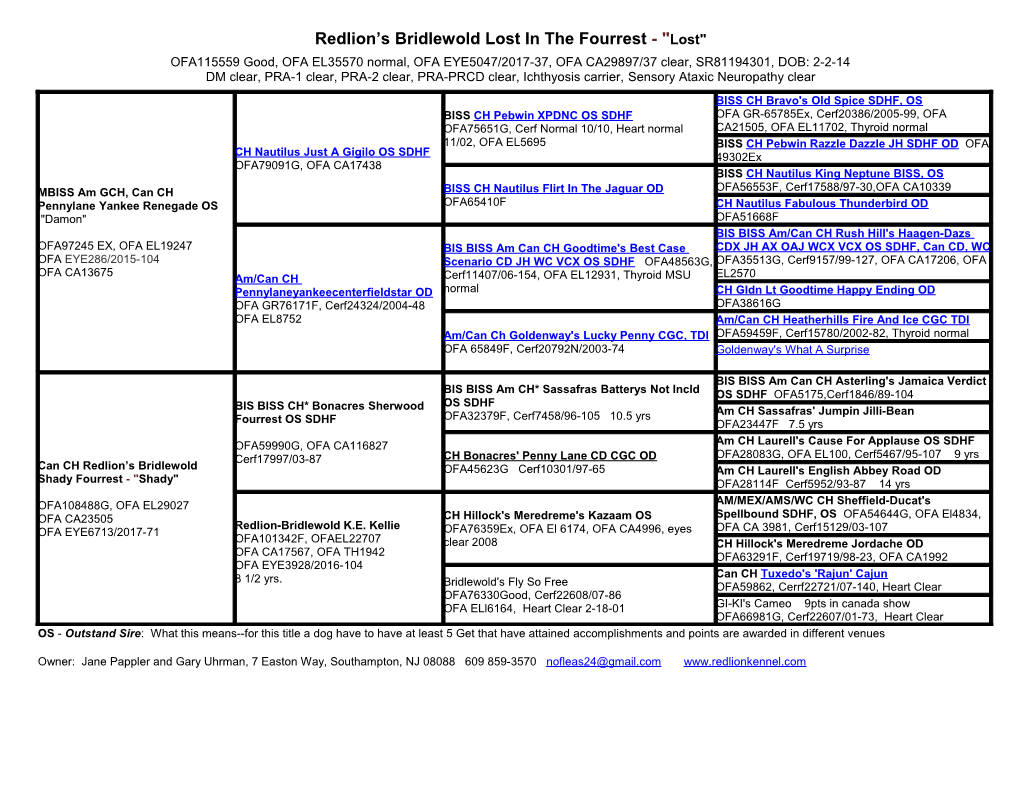 Redlion S Bridlewold Lost in the Fourrest - Lost