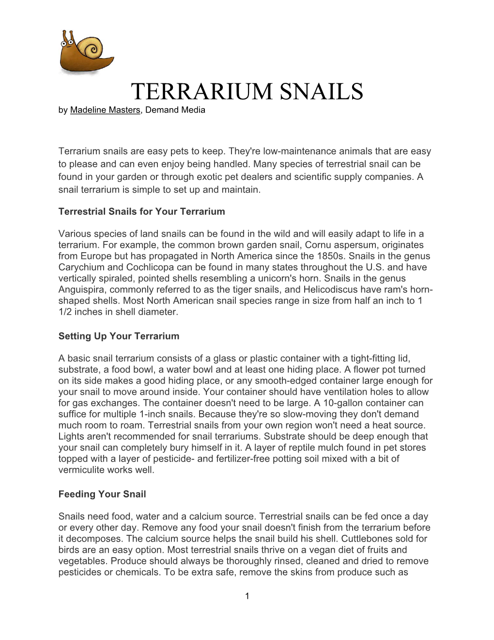 TERRARIUM SNAILS by Madeline Masters, Demand Media