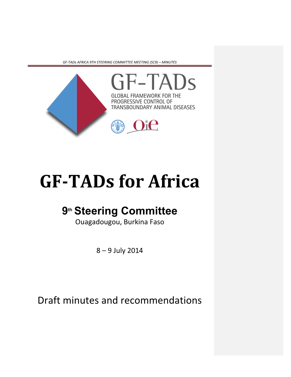 GF-Tads AFRICA 9TH STEERING COMMITTEE MEETING (SC9) – MINUTES