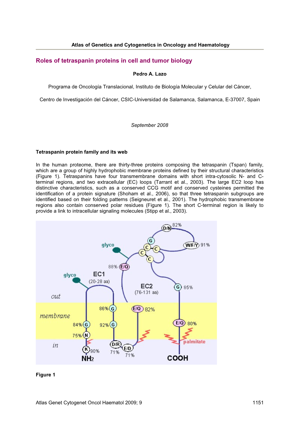 Atlas of Genetics and Cytogenetics in Oncology and Haematology