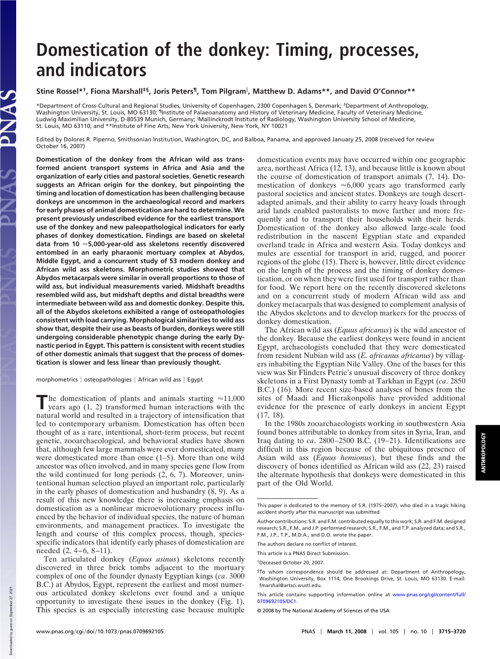 Domestication of the Donkey: Timing, Processes, and Indicators