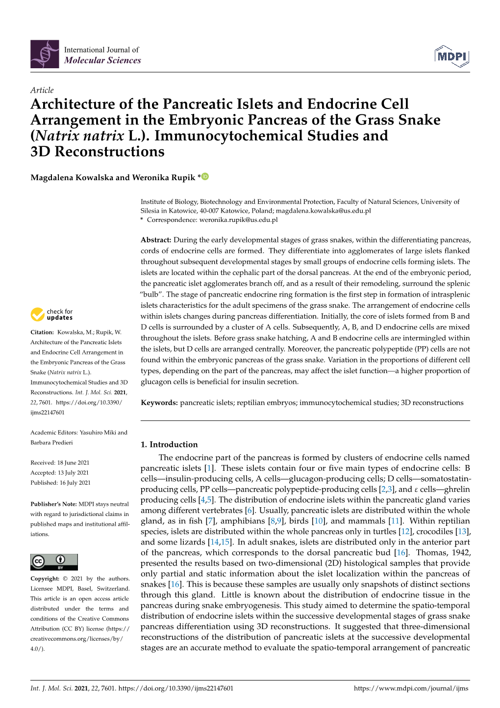 Architecture of the Pancreatic Islets and Endocrine Cell Arrangement in the Embryonic Pancreas of the Grass Snake (Natrix Natrix L.)