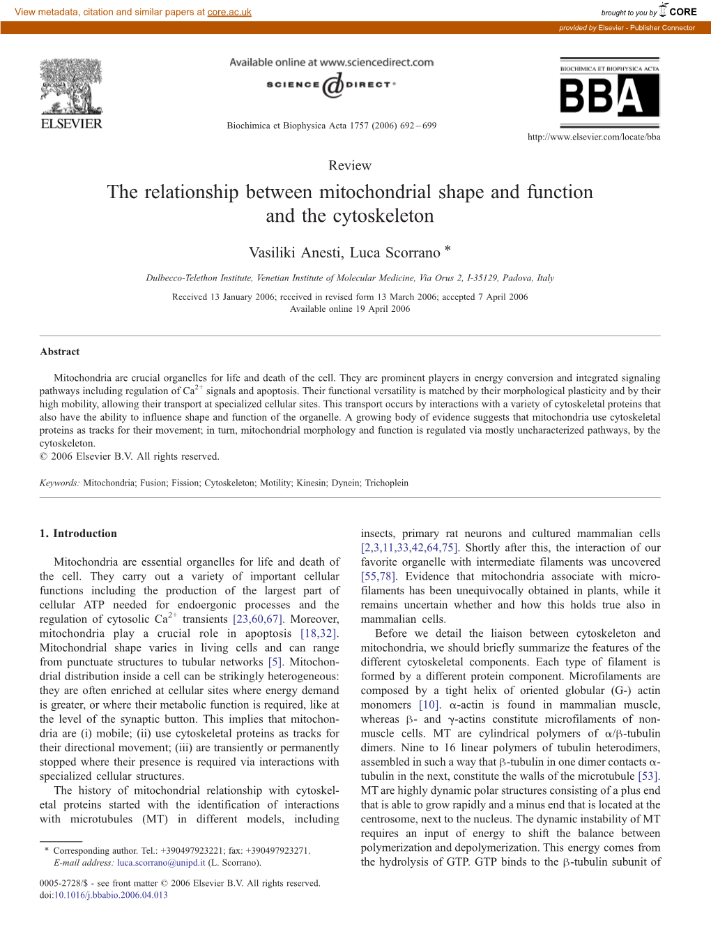 The Relationship Between Mitochondrial Shape and Function and the Cytoskeleton ⁎ Vasiliki Anesti, Luca Scorrano