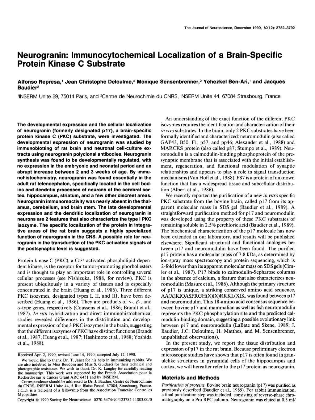 Neurogranin: Lmmunocytochemical Localization of a Brain-Specific Protein Kinase C Substrate