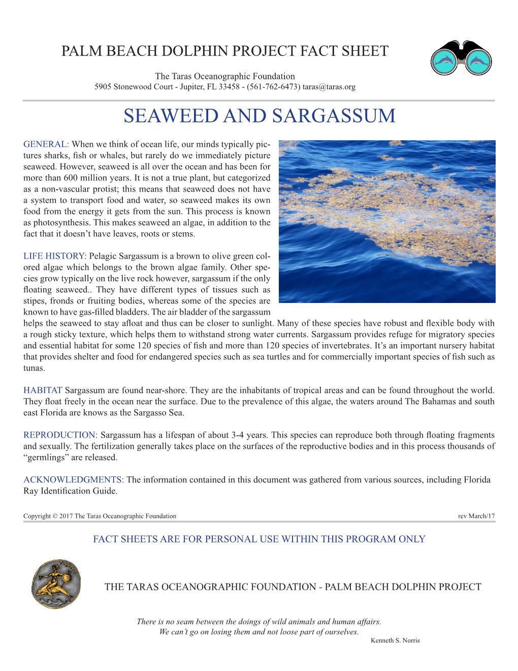 Seaweed and Sargassum