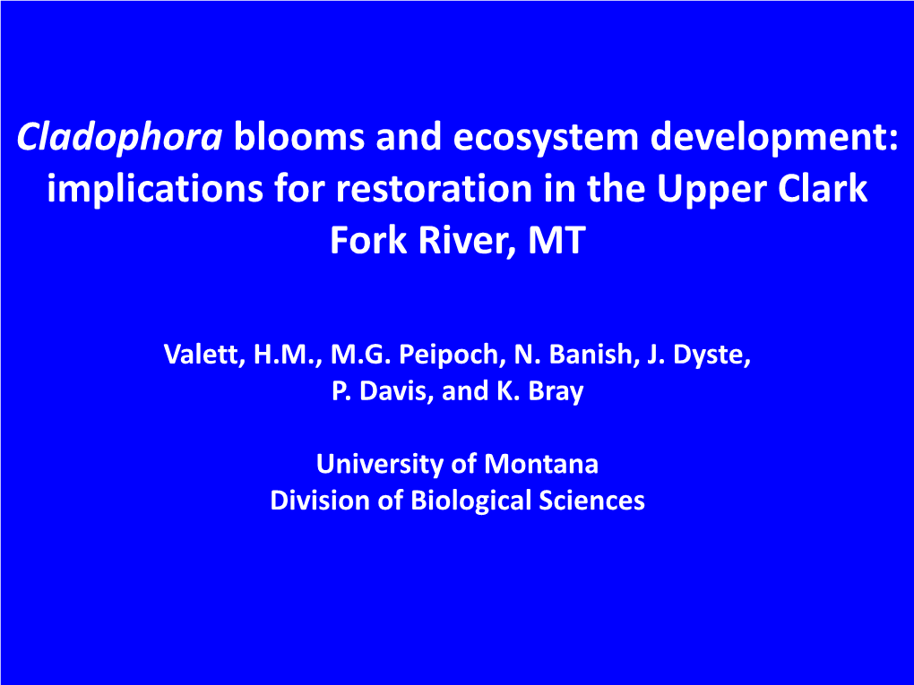 Cladophora Blooms and Ecosystem Development: Implications for Restoration in the Upper Clark Fork River, MT