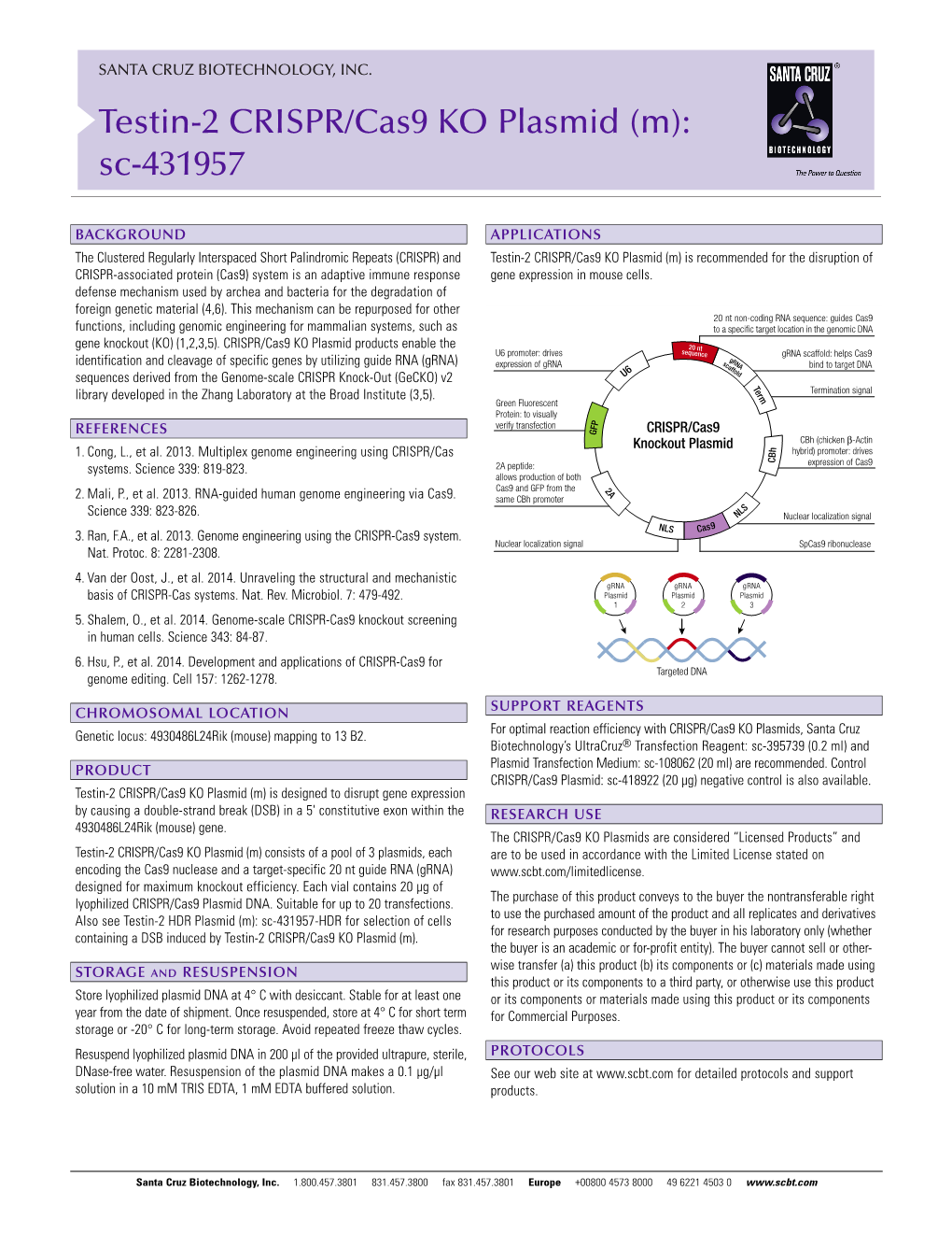 Testin-2 CRISPR/Cas9 KO Plasmid (M): Sc-431957