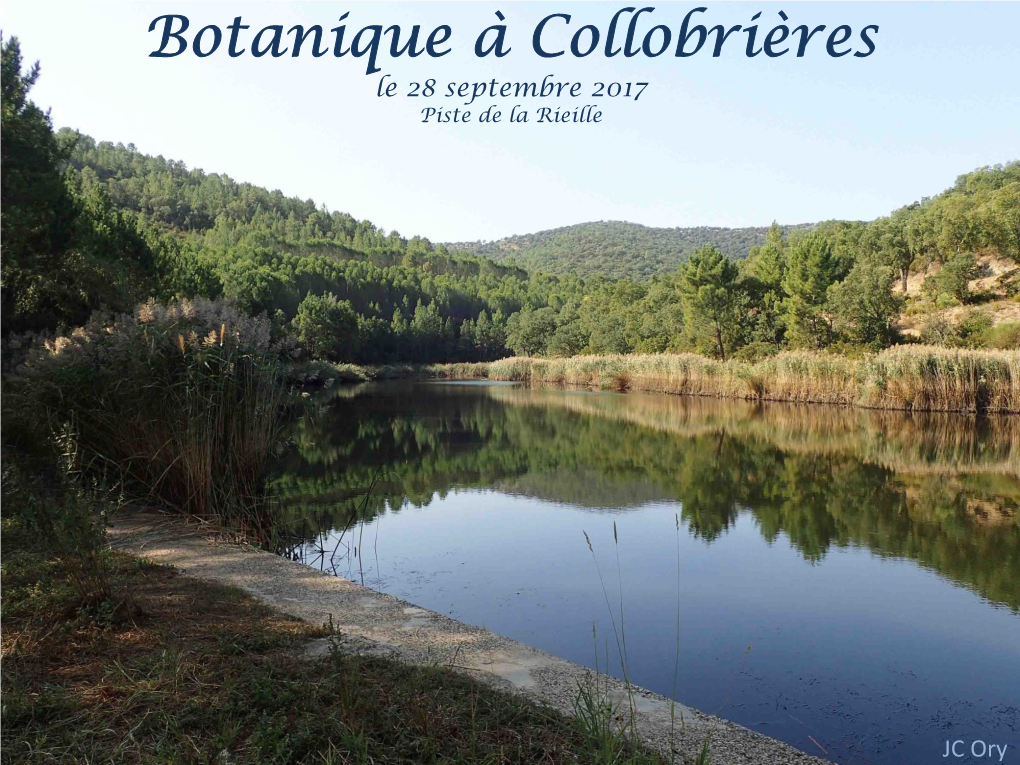 Botanique À Collobrières Le 28 Septembre 2017 Piste De La Rieille