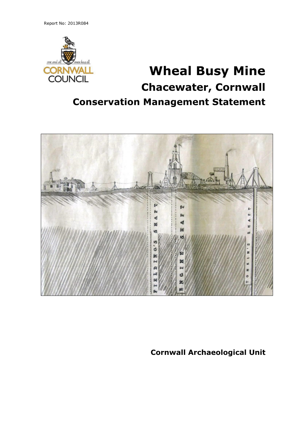 Wheal Busy Mine Chacewater, Cornwall Conservation Management Statement