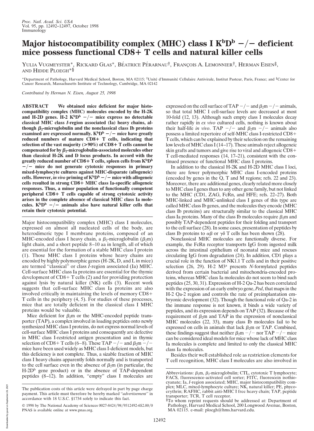 Major Histocompatibility Complex (MHC) Class I Kbdb / Deficient Mice