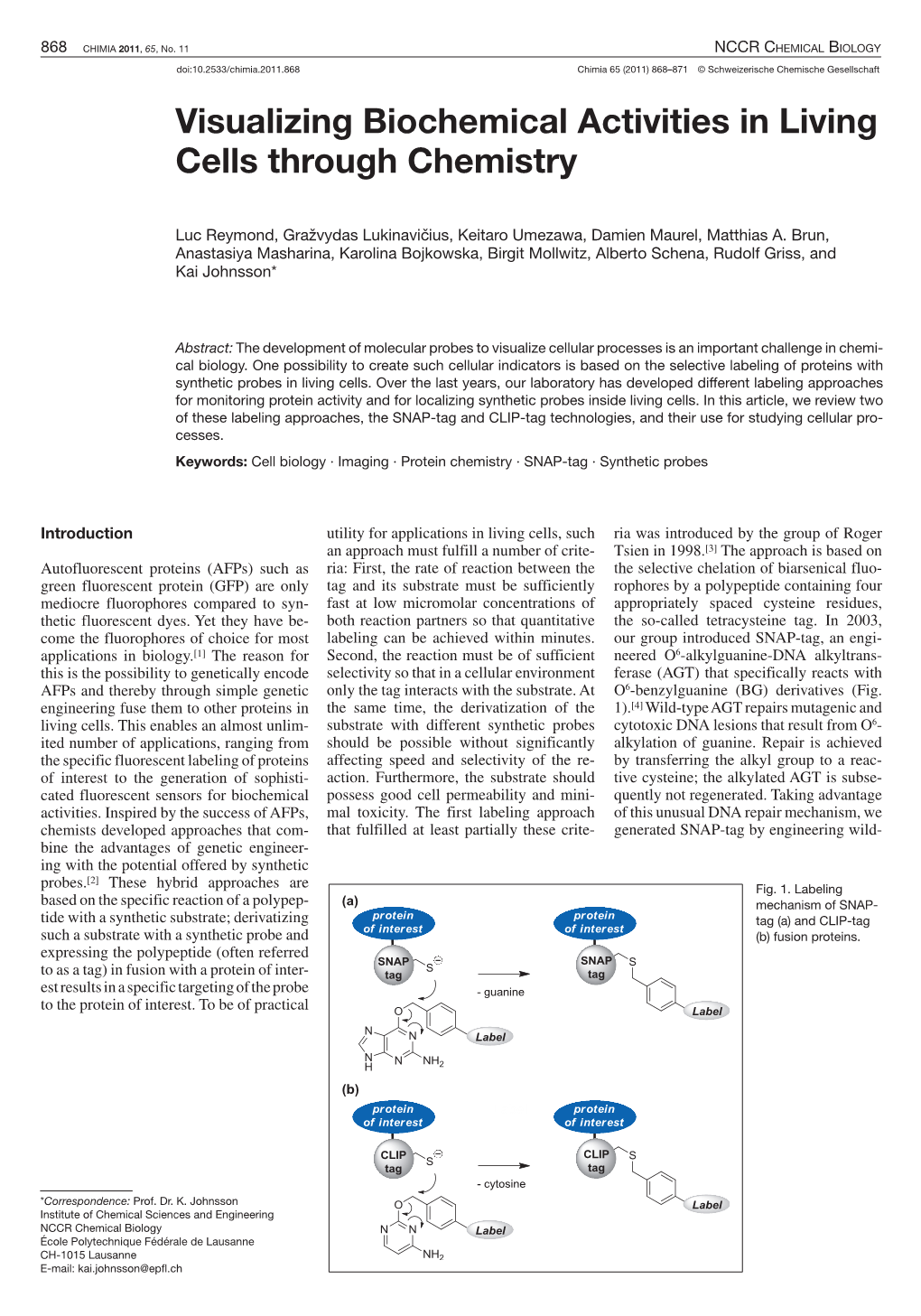 Visualizing Biochemical Activities in Living Cells Through Chemistry