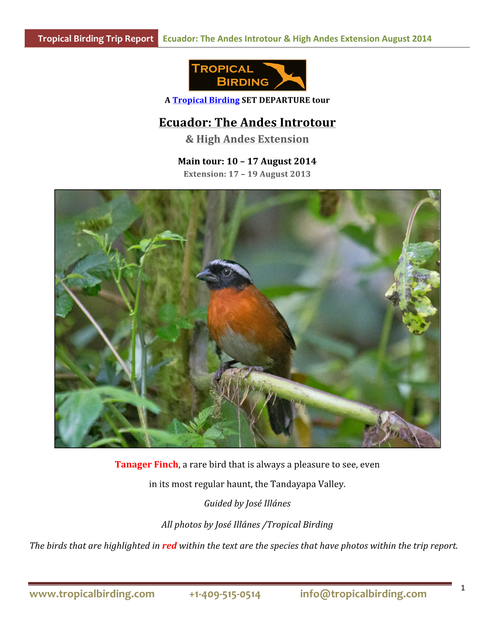 Ecuador: the Andes Introtour & High Andes Extension August 2014