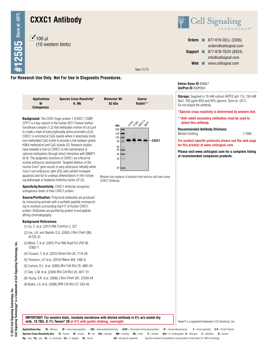 CXXC1 Antibody