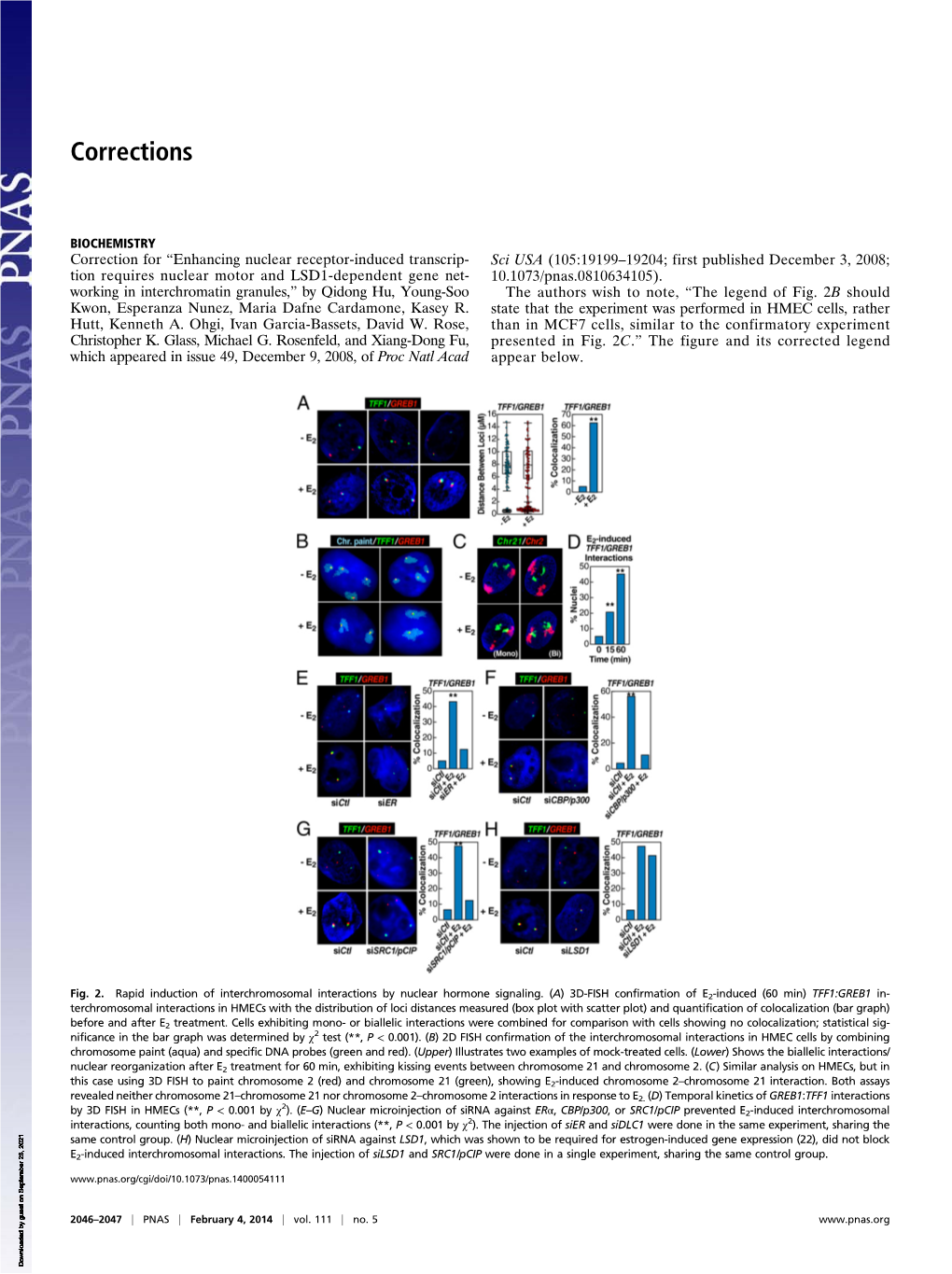 Enhancing Nuclear Receptor-Induced Transcription Requires Nuclear Motor and LSD1-Dependent Gene Networking in Interchromatin Granules