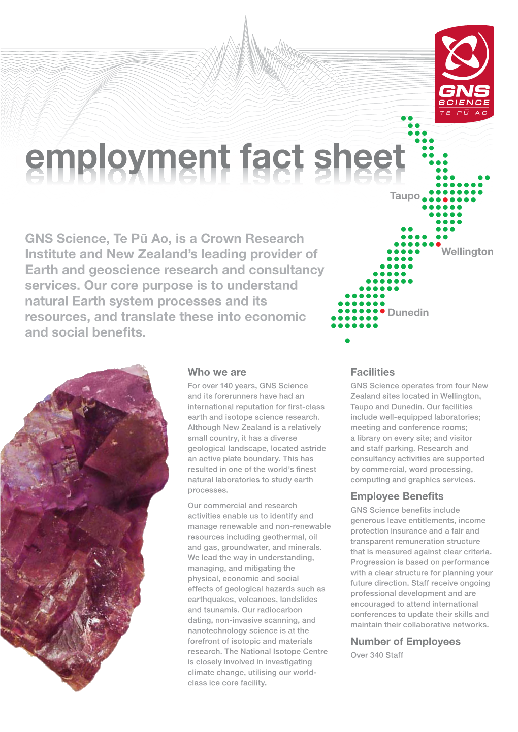 Employment Fact Sheet