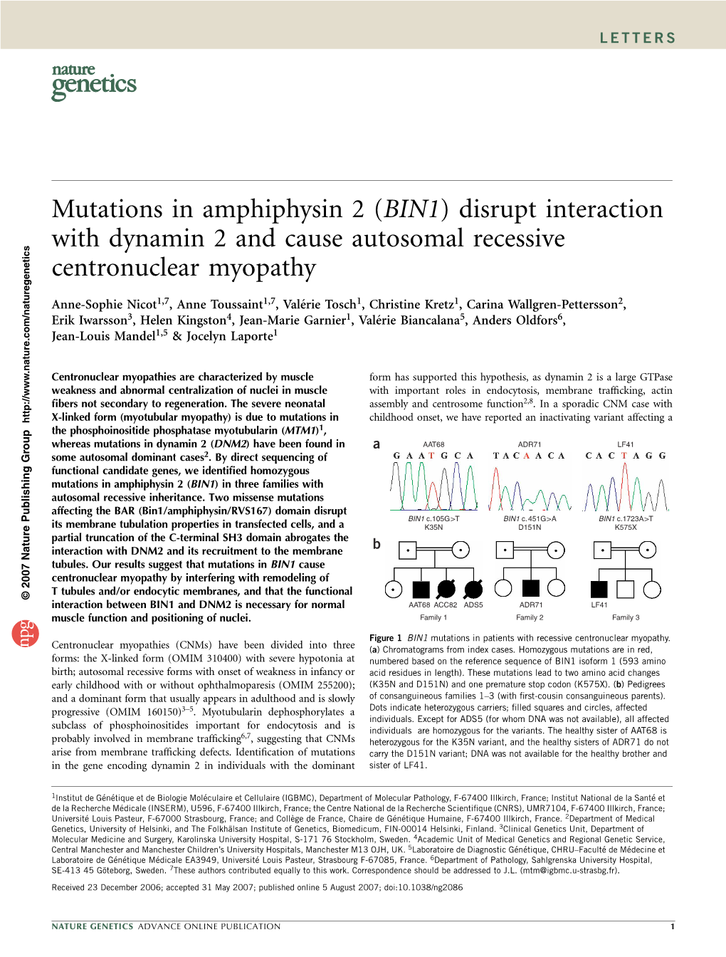 Mutations in Amphiphysin 2 (BIN1) Disrupt Interaction with Dynamin 2 and Cause Autosomal Recessive Centronuclear Myopathy