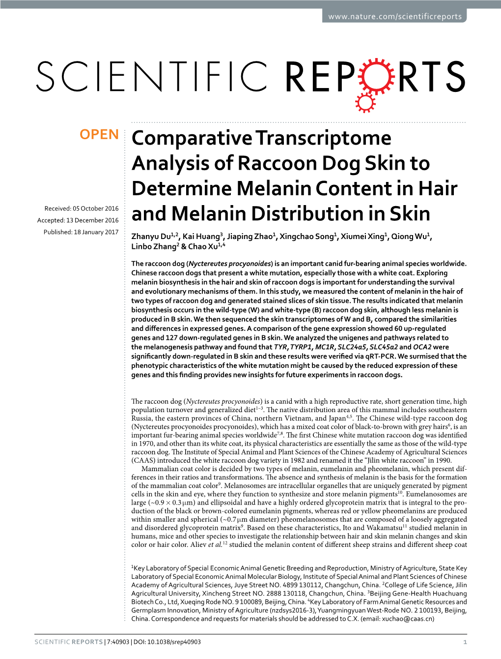 Comparative Transcriptome Analysis of Raccoon Dog Skin to Determine Melanin Content in Hair and Melanin Distribution in Skin