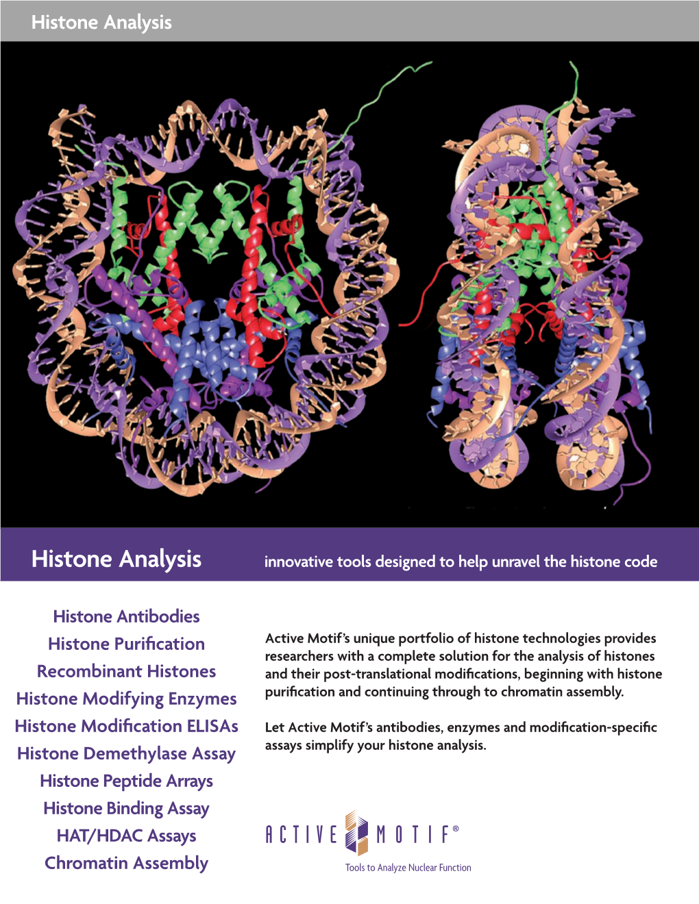 Active Motif's Histone Analysis Brochure