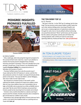 PEDIGREE INSIGHTS: by T.D