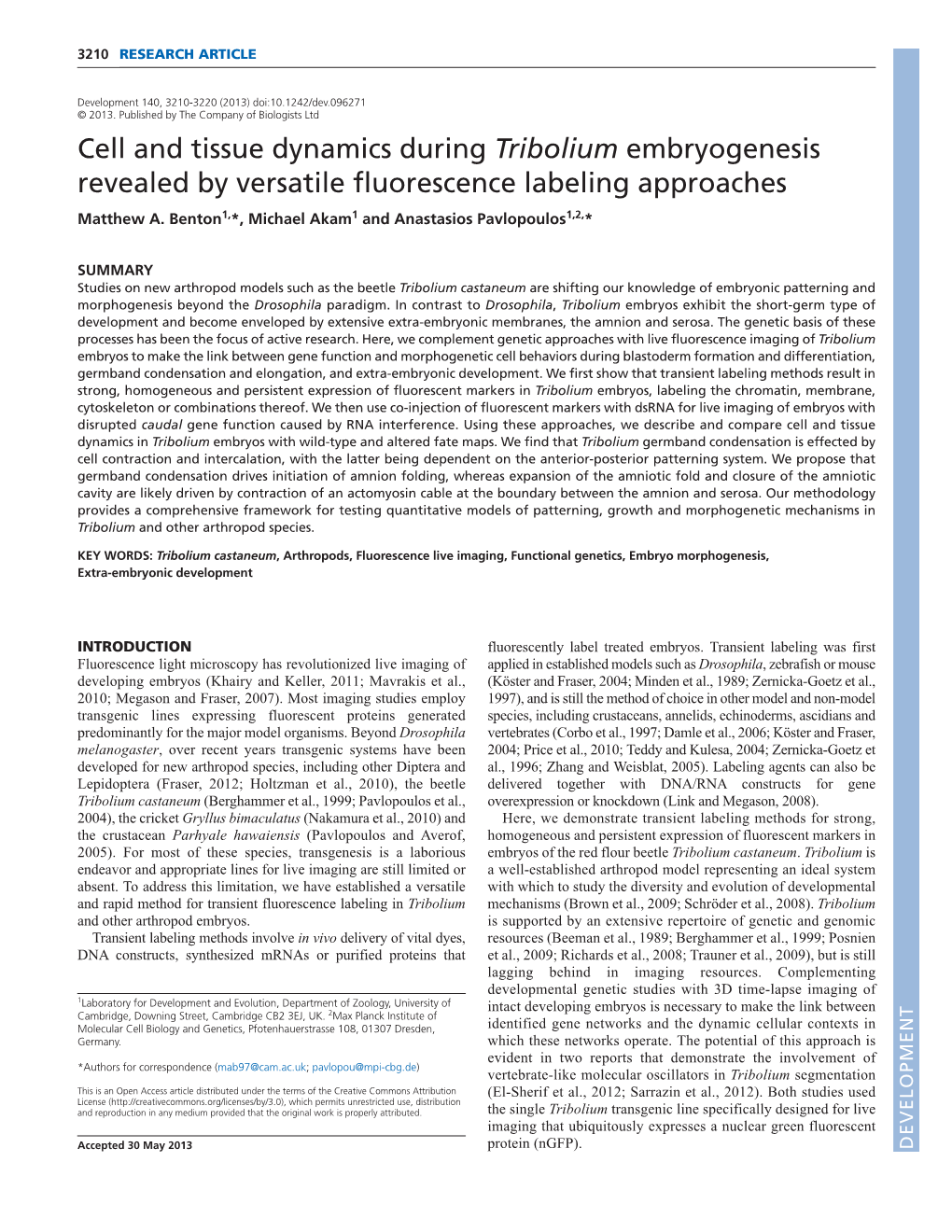 Cell and Tissue Dynamics During Tribolium Embryogenesis Revealed by Versatile Fluorescence Labeling Approaches Matthew A