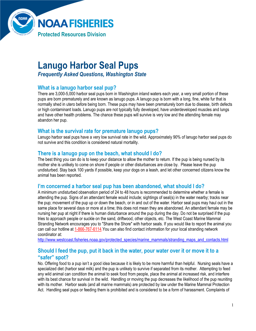 Lanugo Harbor Seal Pups Frequently Asked Questions, Washington State