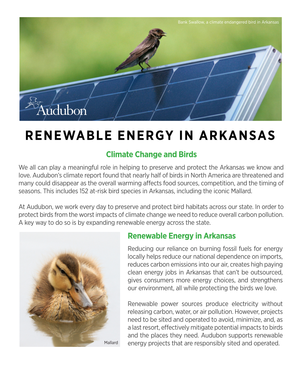 RENEWABLE ENERGY in ARKANSAS Climate Change and Birds We All Can Play a Meaningful Role in Helping to Preserve and Protect the Arkansas We Know and Love